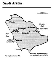 SAUDI.PCX