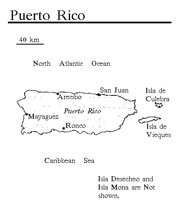 PUERTORI.PCX