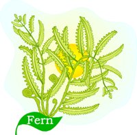 G0124969.wmf
