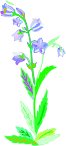 G0148375.wmf