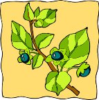 G0149212.wmf