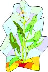 G0159384.wmf