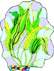 G0159392.wmf