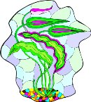 G0159396.wmf