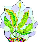 G0159397.wmf