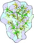G0159402.wmf