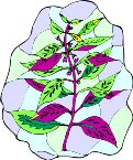 G0159407.wmf