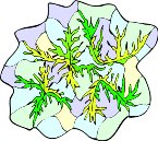 G0159408.wmf