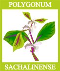 G0161530.wmf