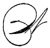 SCRIPT_W.PCX