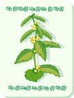 G0166402.wmf