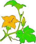 G0167666.wmf