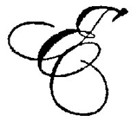 SCRIPT_E.PCX
