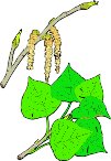 G0167698.wmf