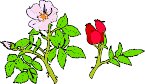 G0167719.wmf