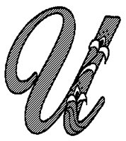 ROPE_U.PCX