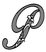 ROPE_P.PCX
