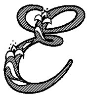 ROPE_E.PCX