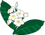 G0198729.wmf