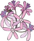 G0198733.wmf
