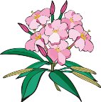 G0198741.wmf