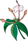 G0198746.wmf