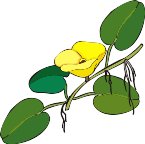 G0198761.wmf