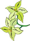 G0198768.wmf