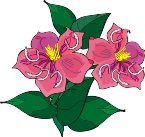 G0198779.wmf