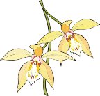 G0198788.wmf