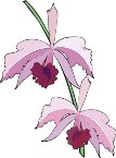 G0198791.wmf