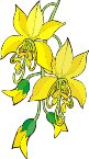 G0198792.wmf
