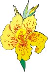 G0198796.wmf