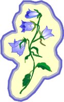 G0214864.wmf