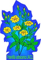 G0215934.wmf