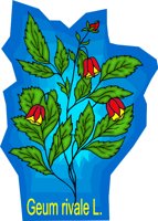 G0215944.wmf