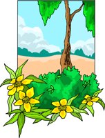 G0218492.wmf