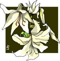 G0224230.wmf