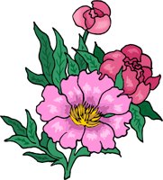 G0224799.wmf