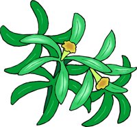 G0224965.wmf
