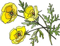 G0225340.wmf