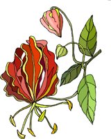 G0225383.wmf