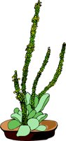 G0706565.wmf