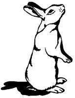 RABBIT3.PCX