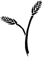 WHEAT.PCX