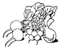 VEGGIES1.PCX