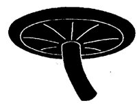 SHITAKE.PCX