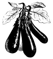EGGPLANT.PCX