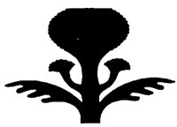 BROCCOLI.PCX