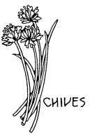 CHIVES.PCX